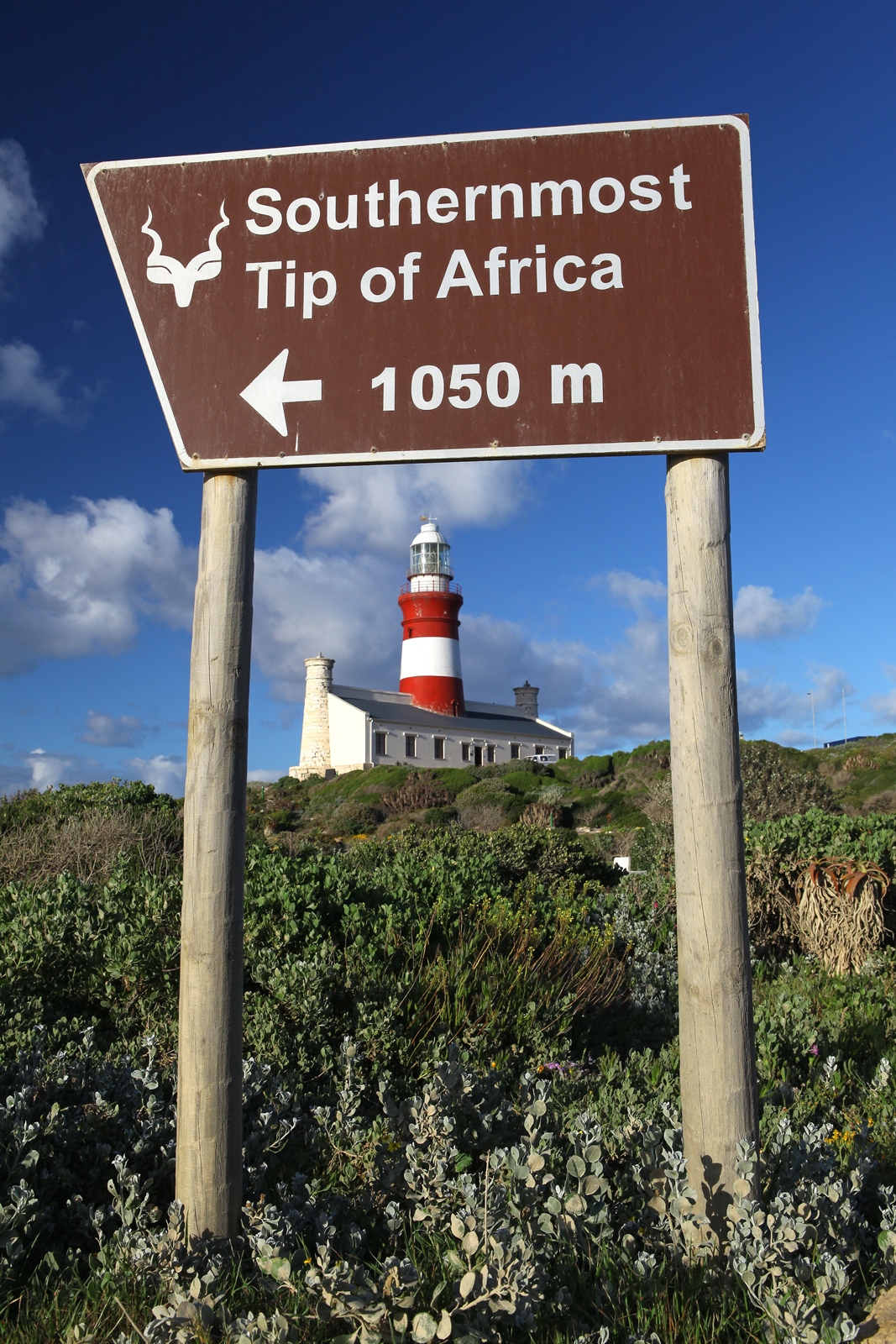 Südafrika 239