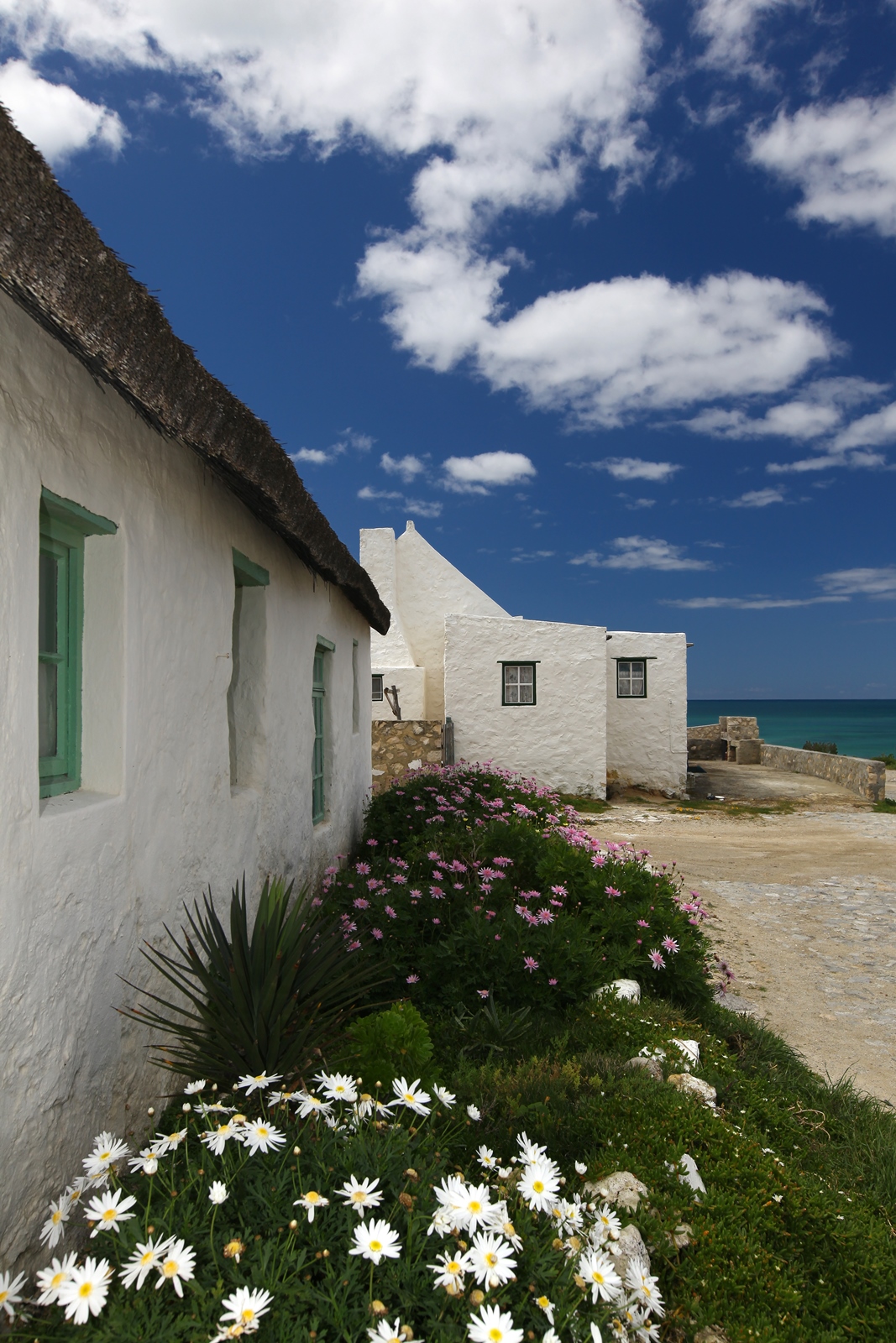 Südafrika 247