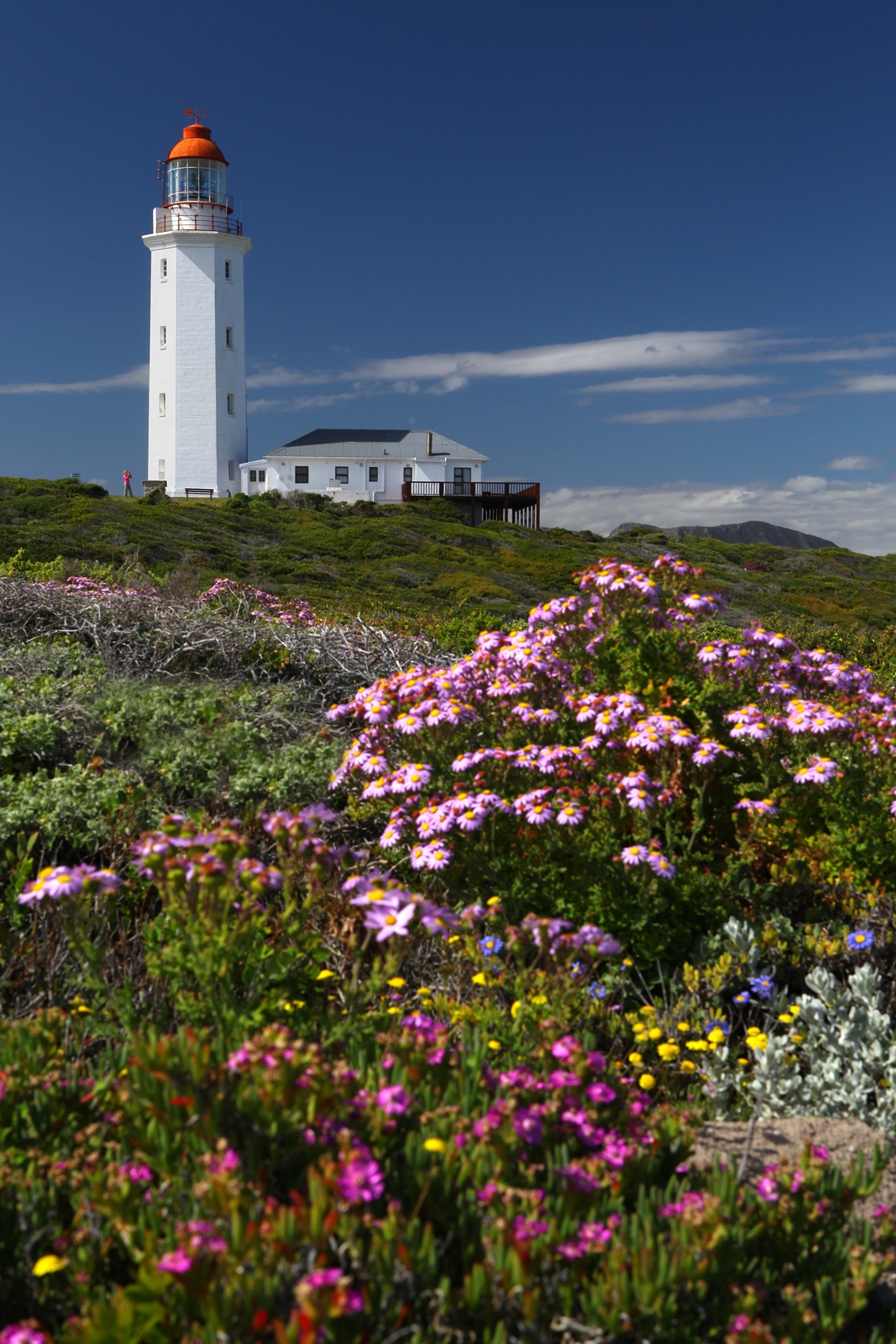 Südafrika 249