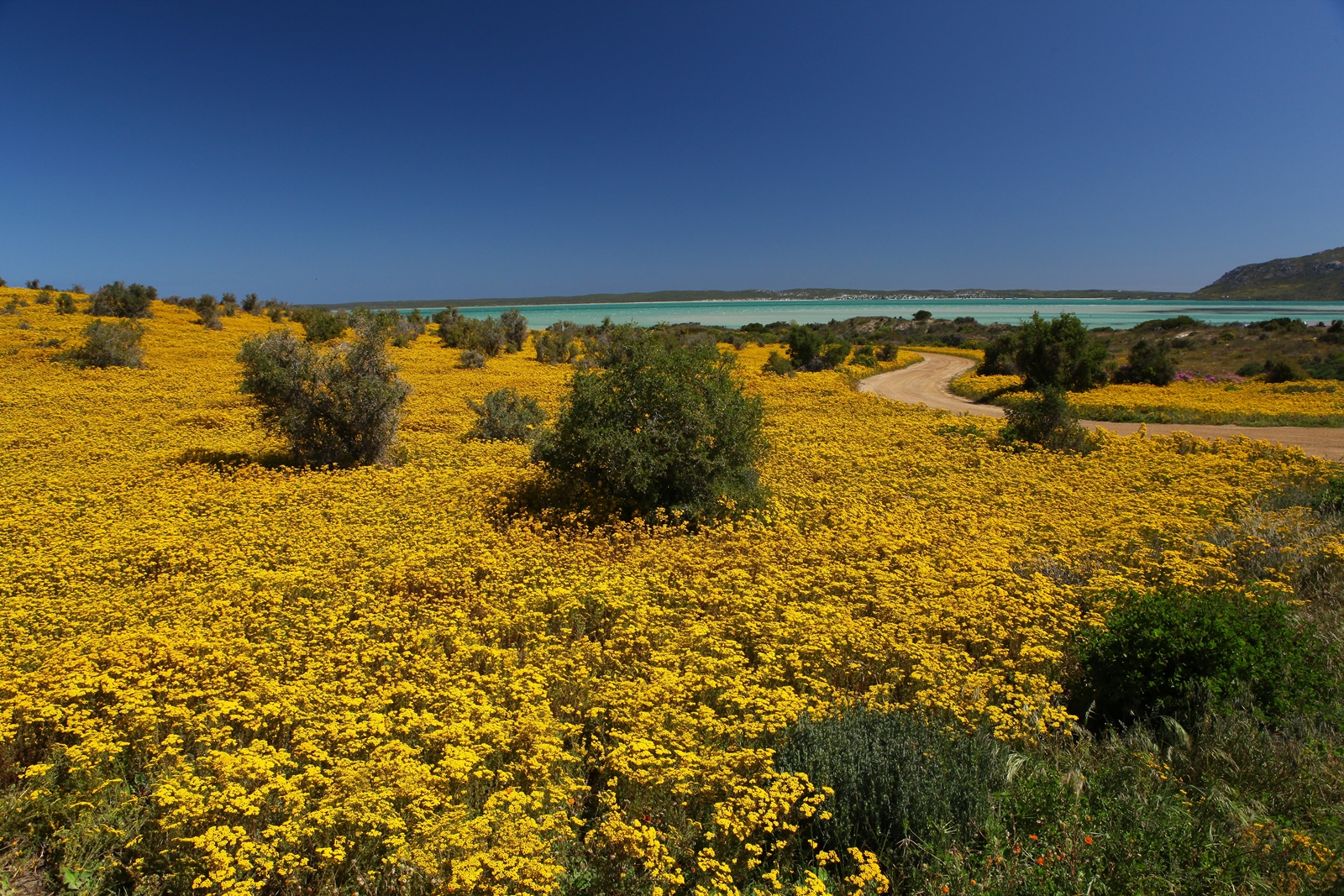 Südafrika 283