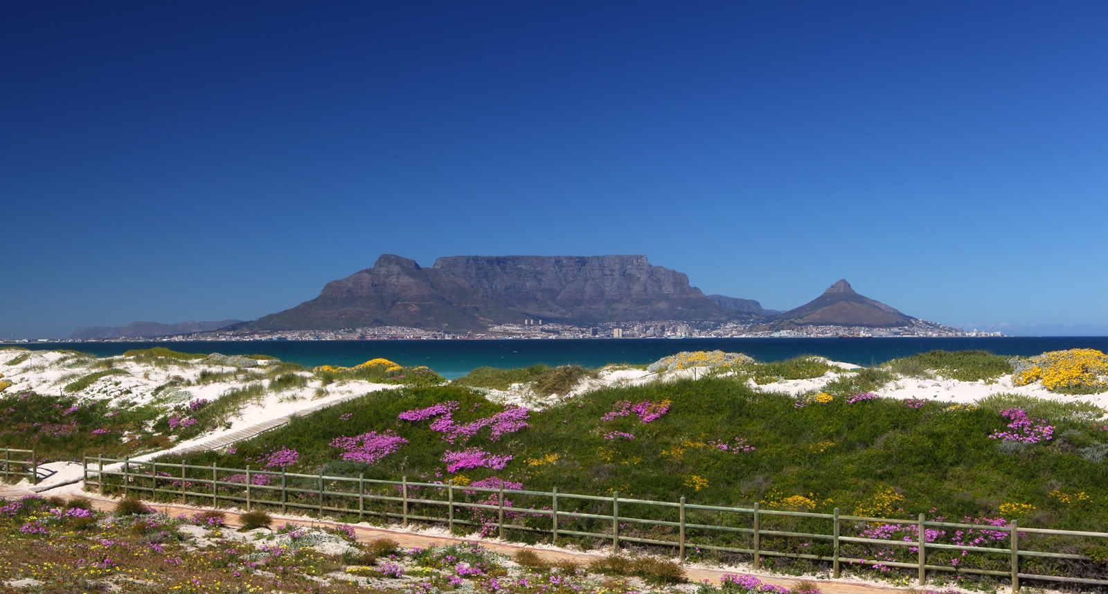 Südafrika 291