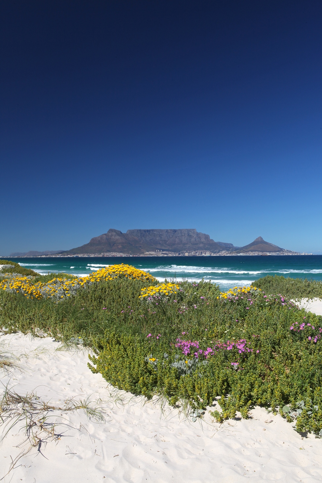 Südafrika 292