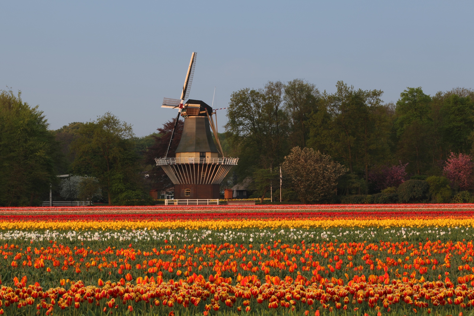 Holland 056