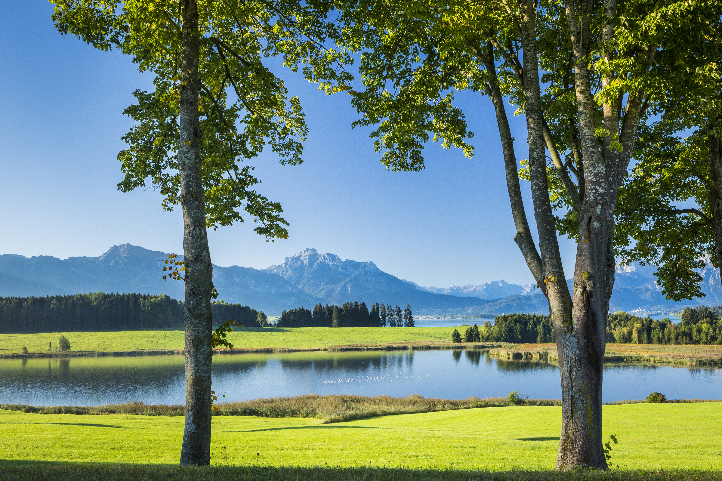Allgäu 122