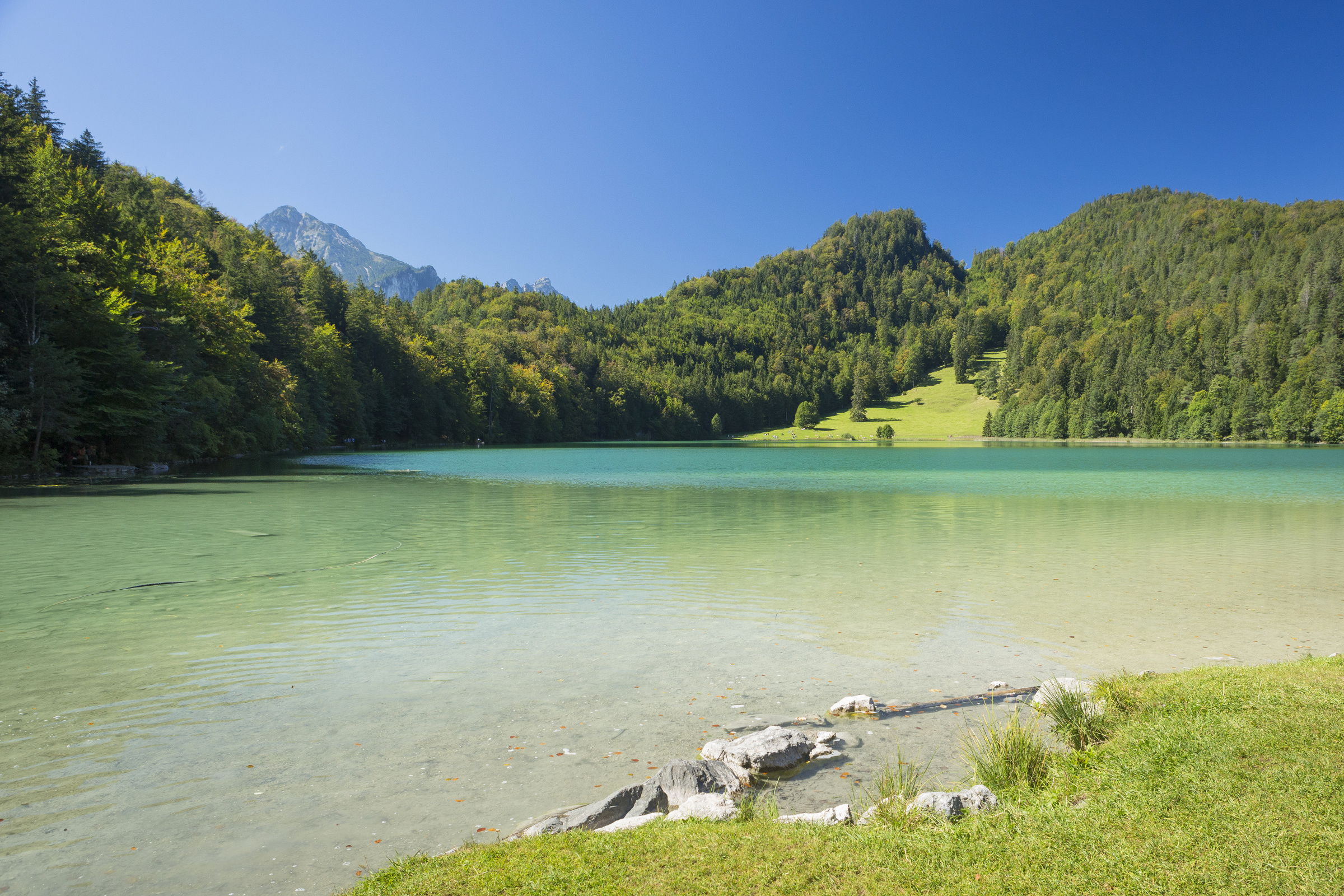 Allgäu 129