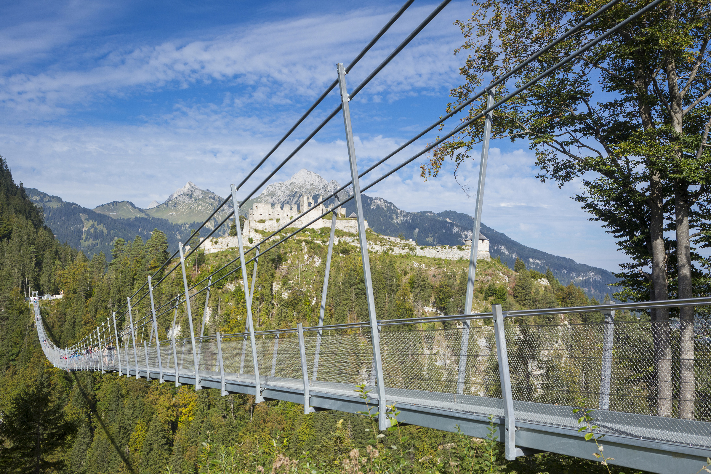 Allgäu 230