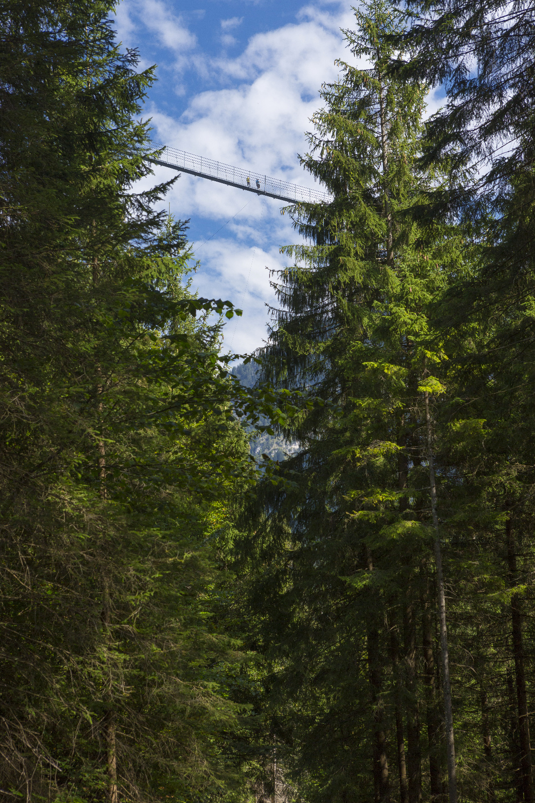 Allgäu 234
