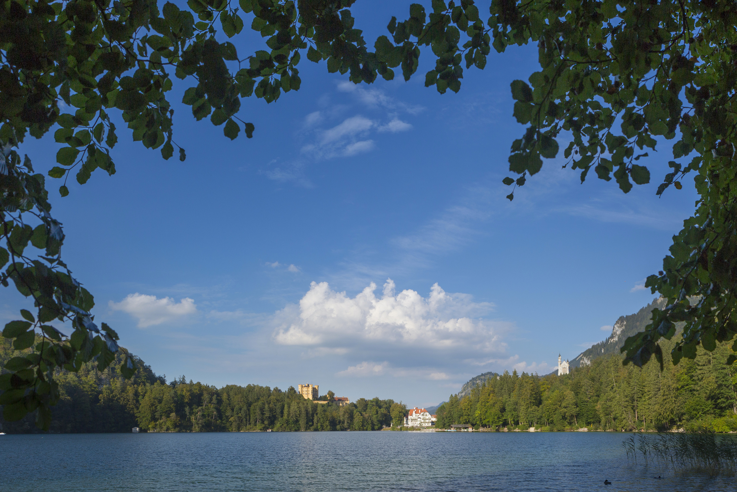 Allgäu 242