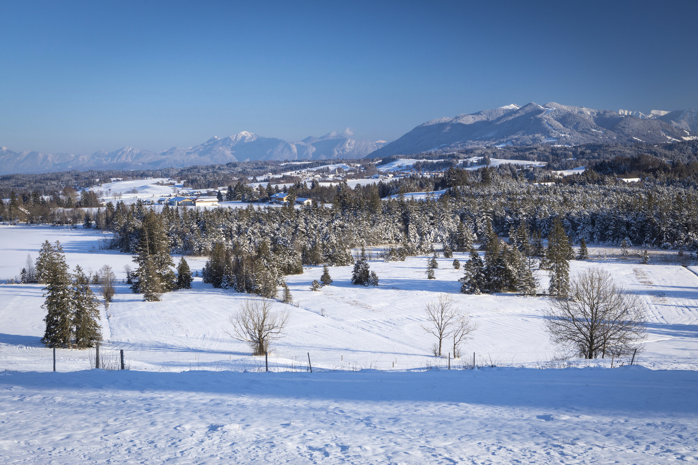 Allgäu 449