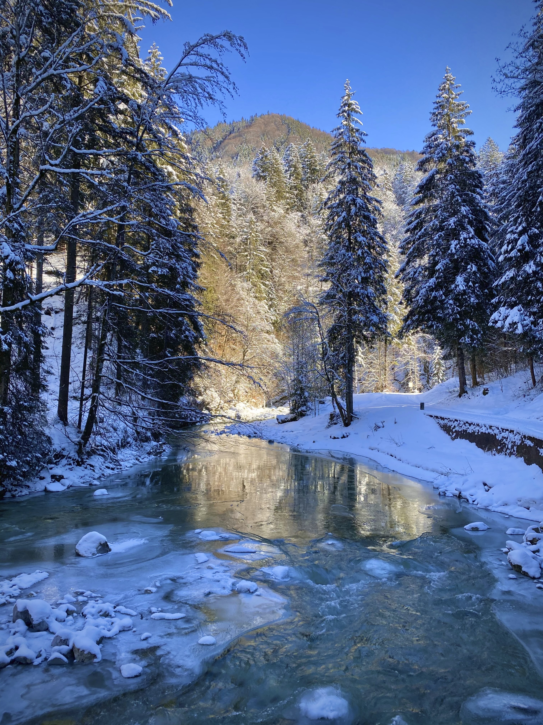 Allgäu 476