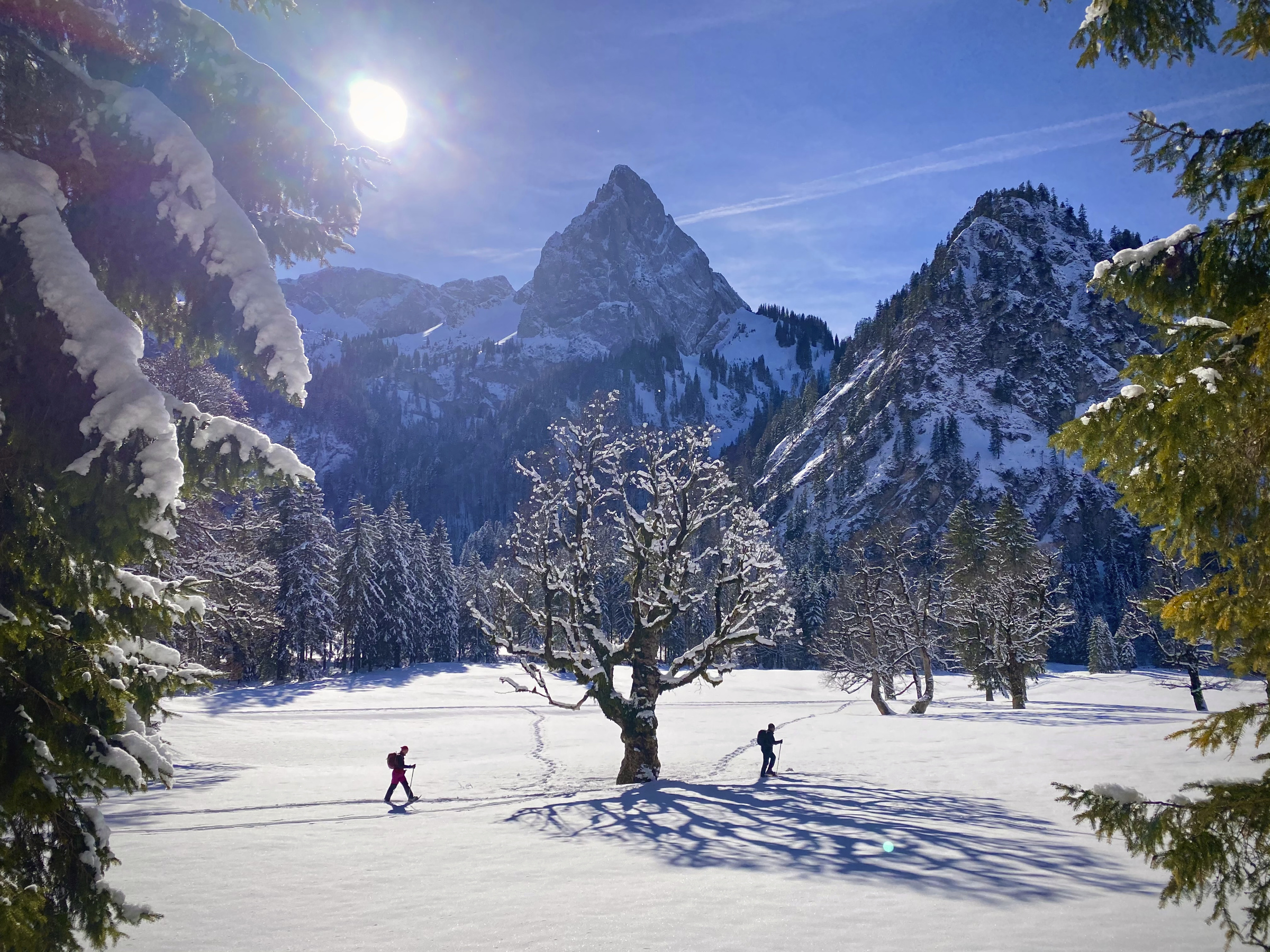Allgäu 477