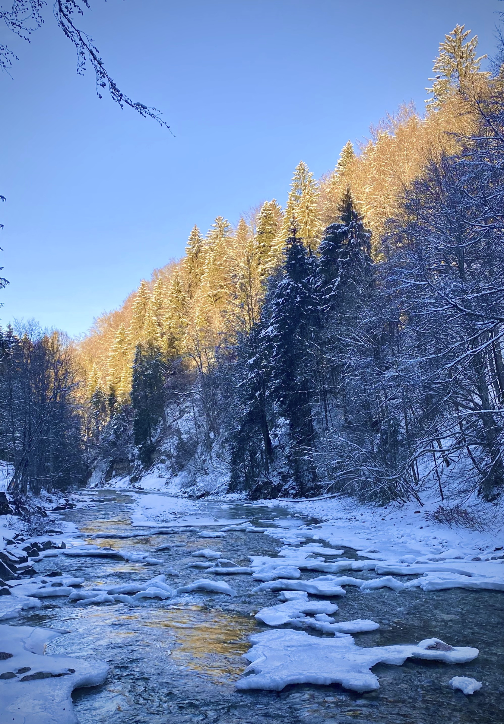 Allgäu 482