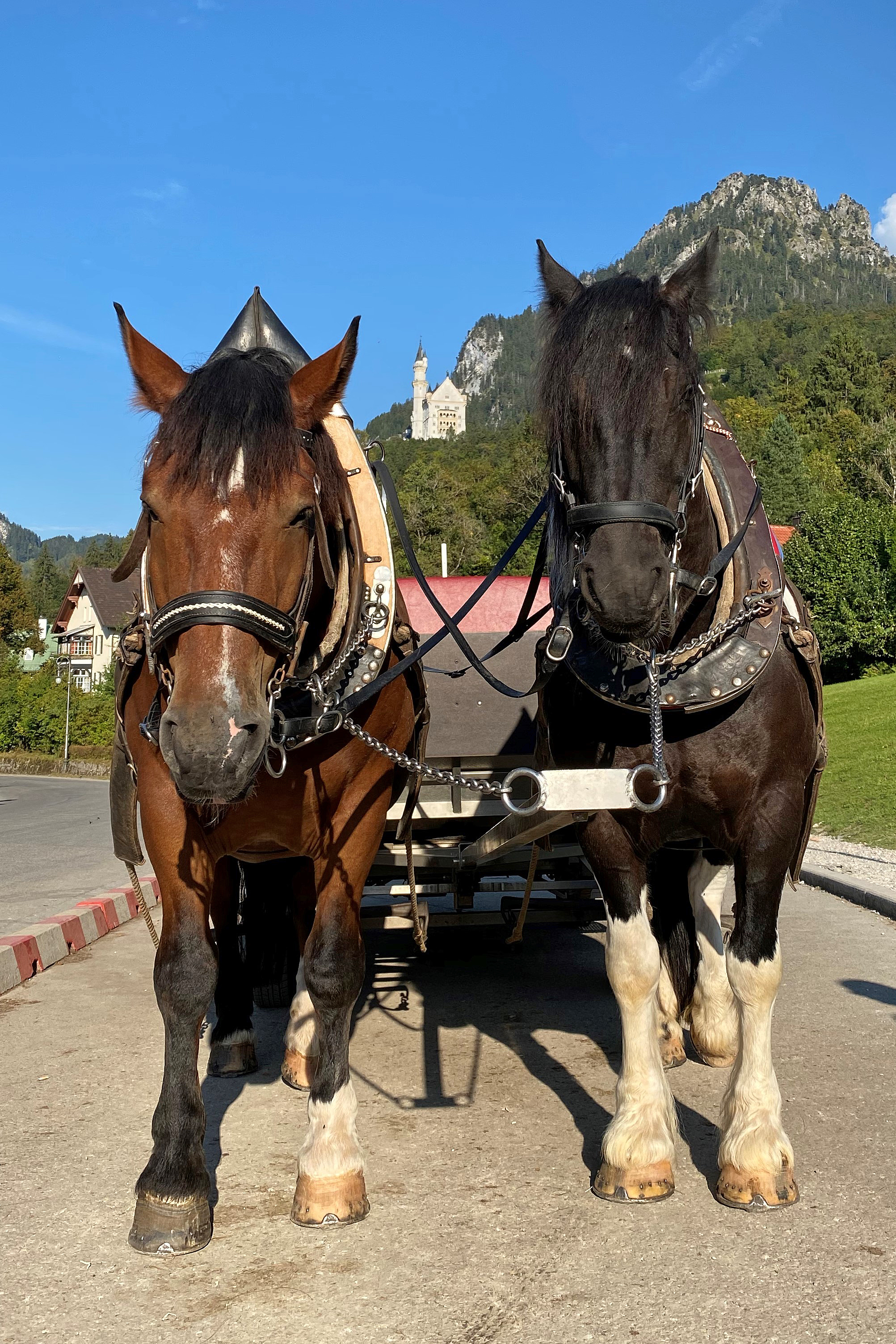 Allgäu 65