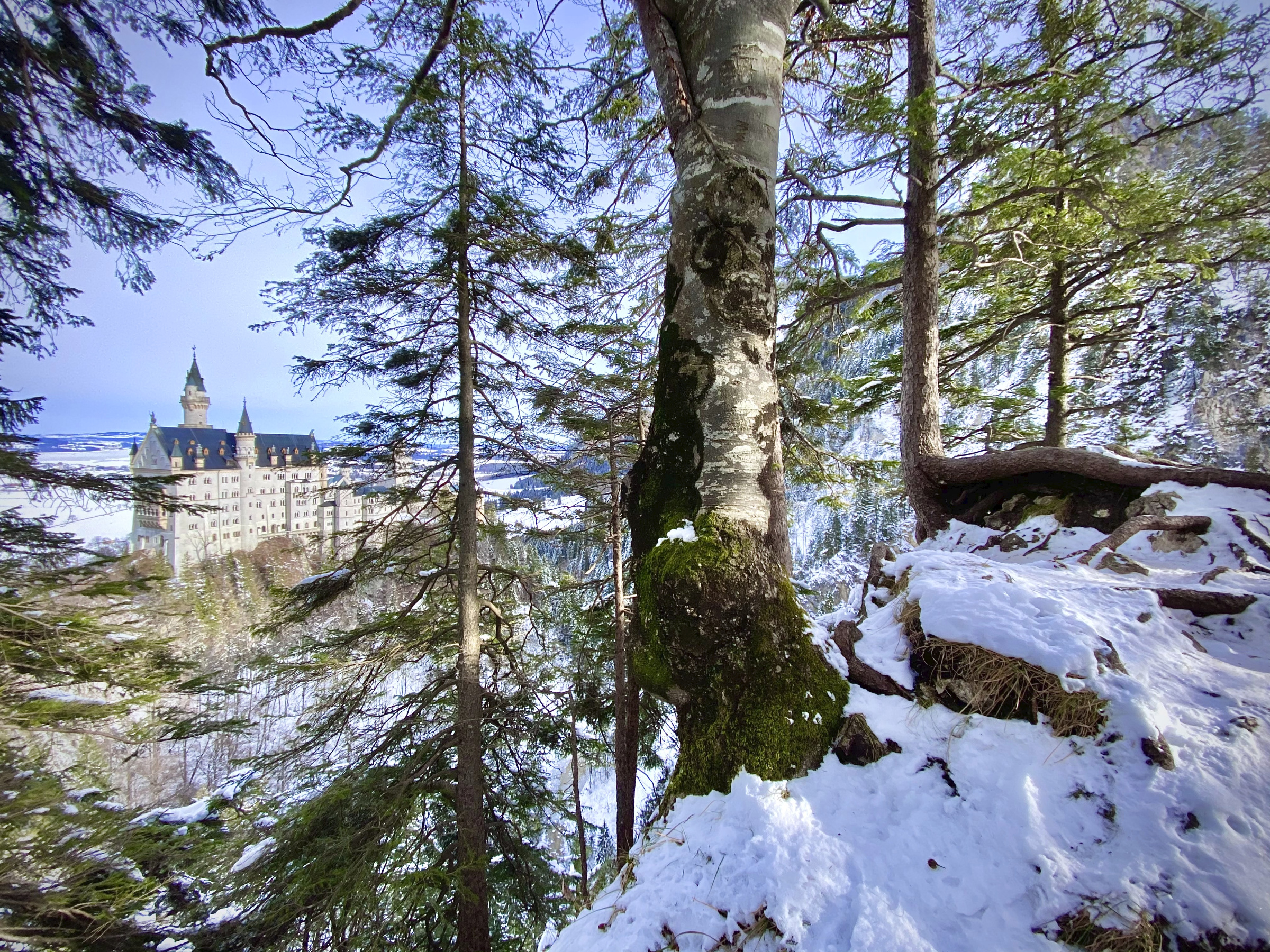 Allgäu 76w