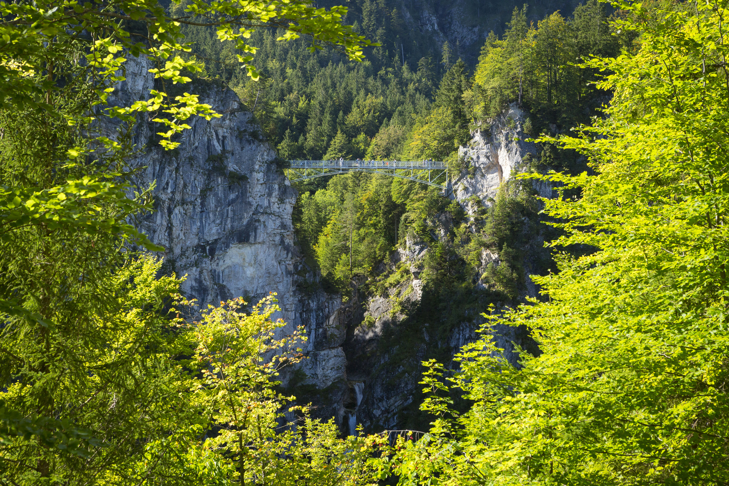 Allgäu 81