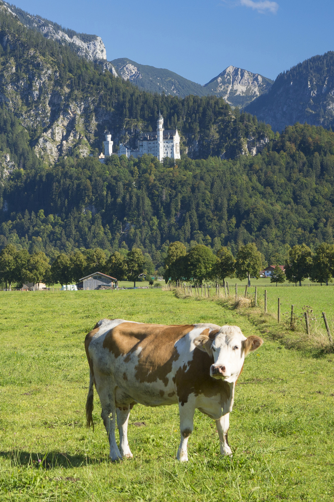 Allgäu 92h