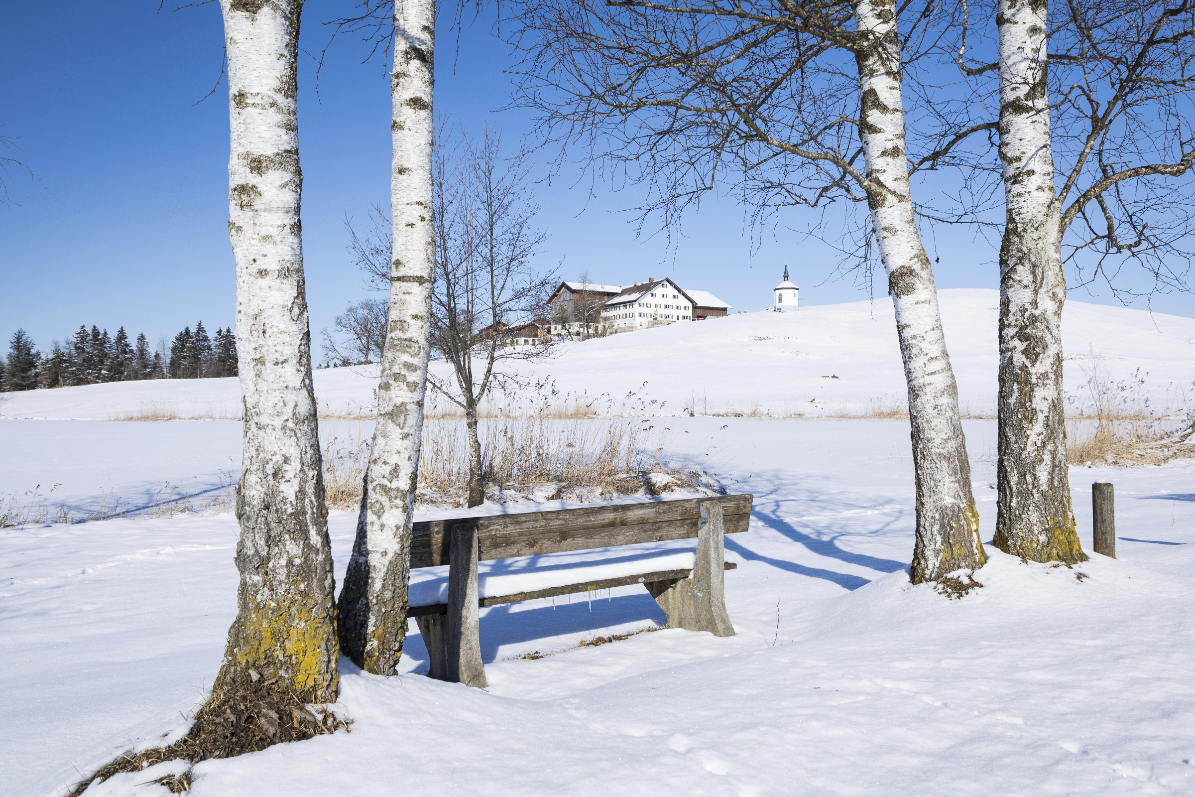 Allgäu 02w