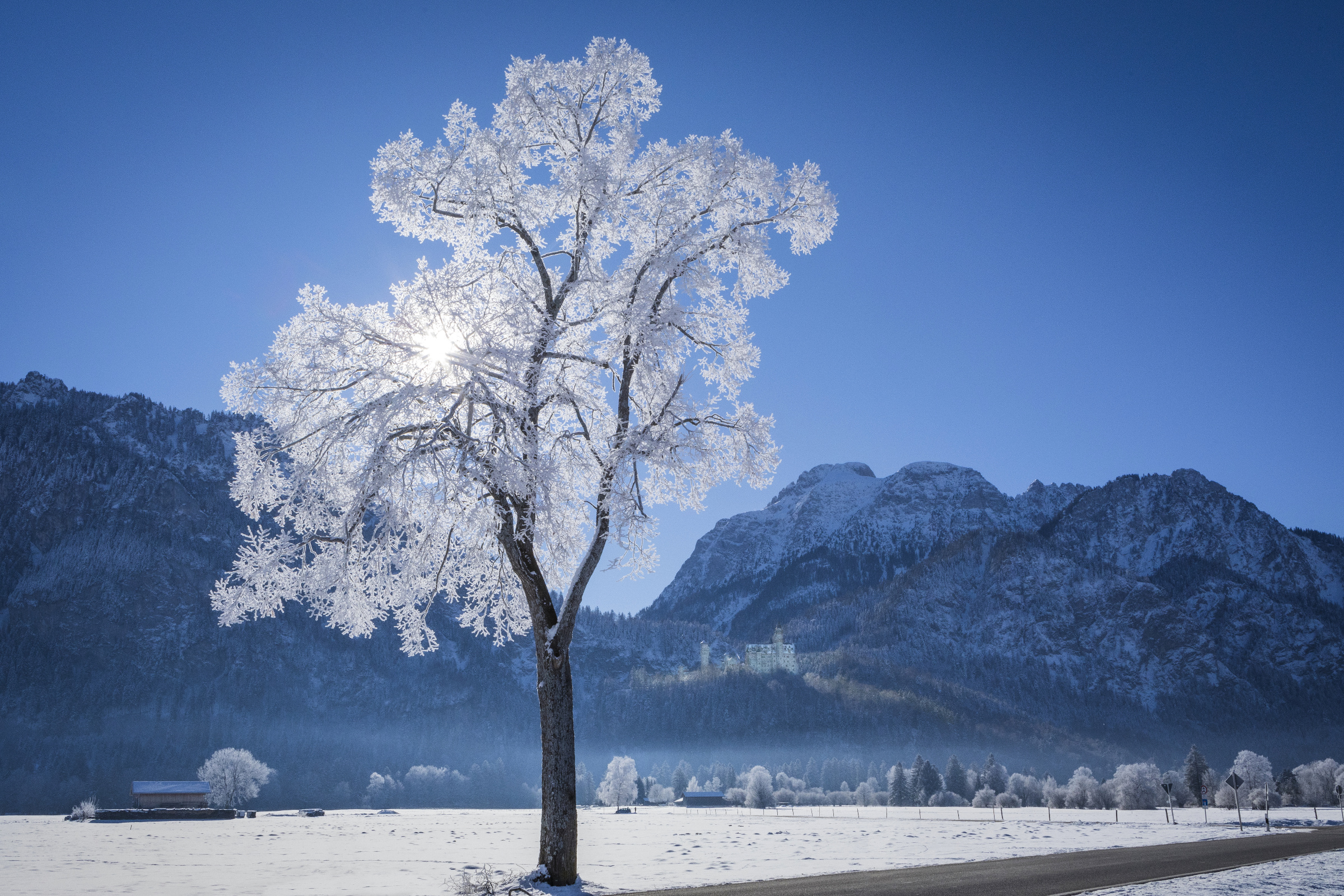 Allgäu 04w