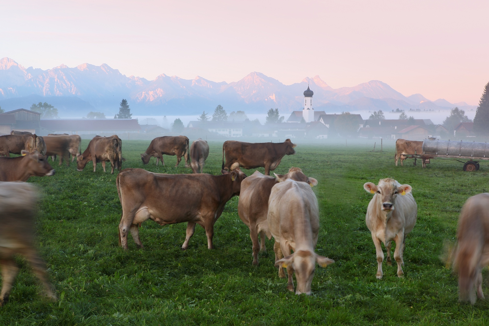 Allgäu 13
