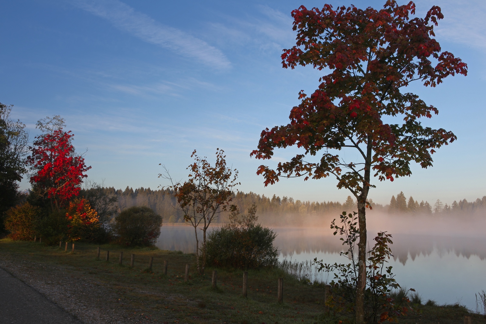 Allgäu 14