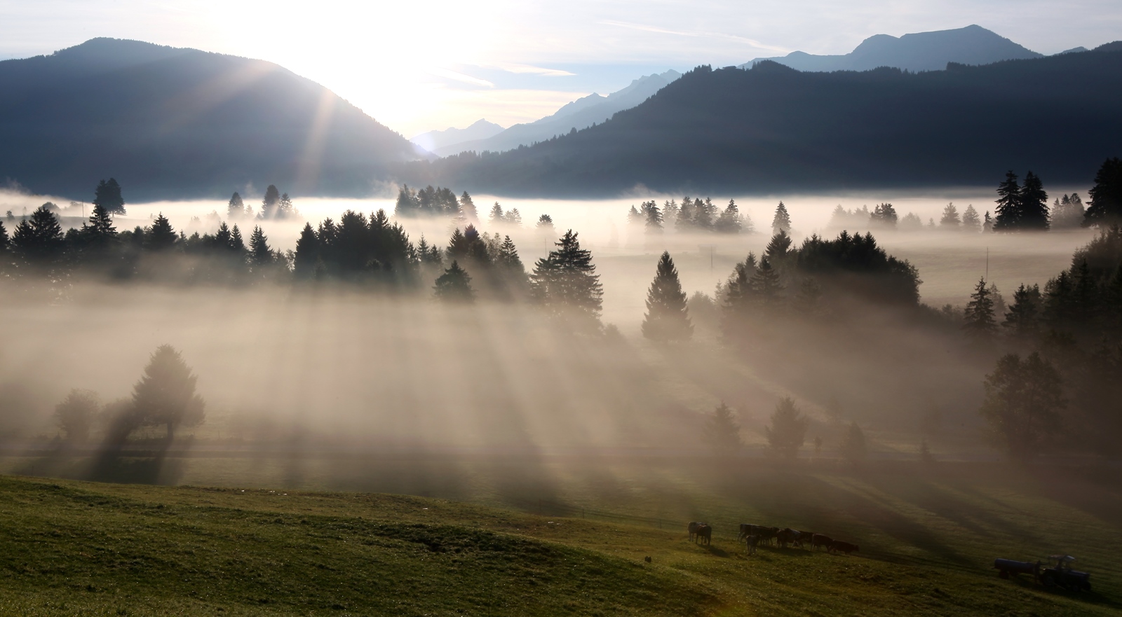Allgäu 18