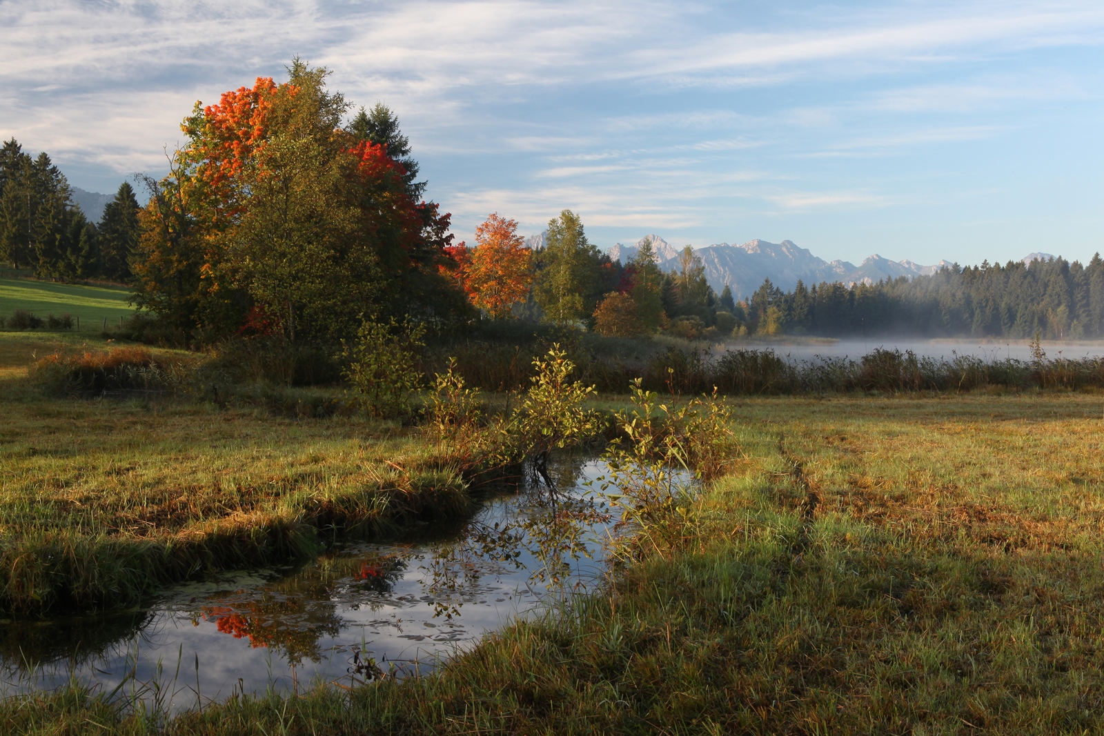 Allgäu 21