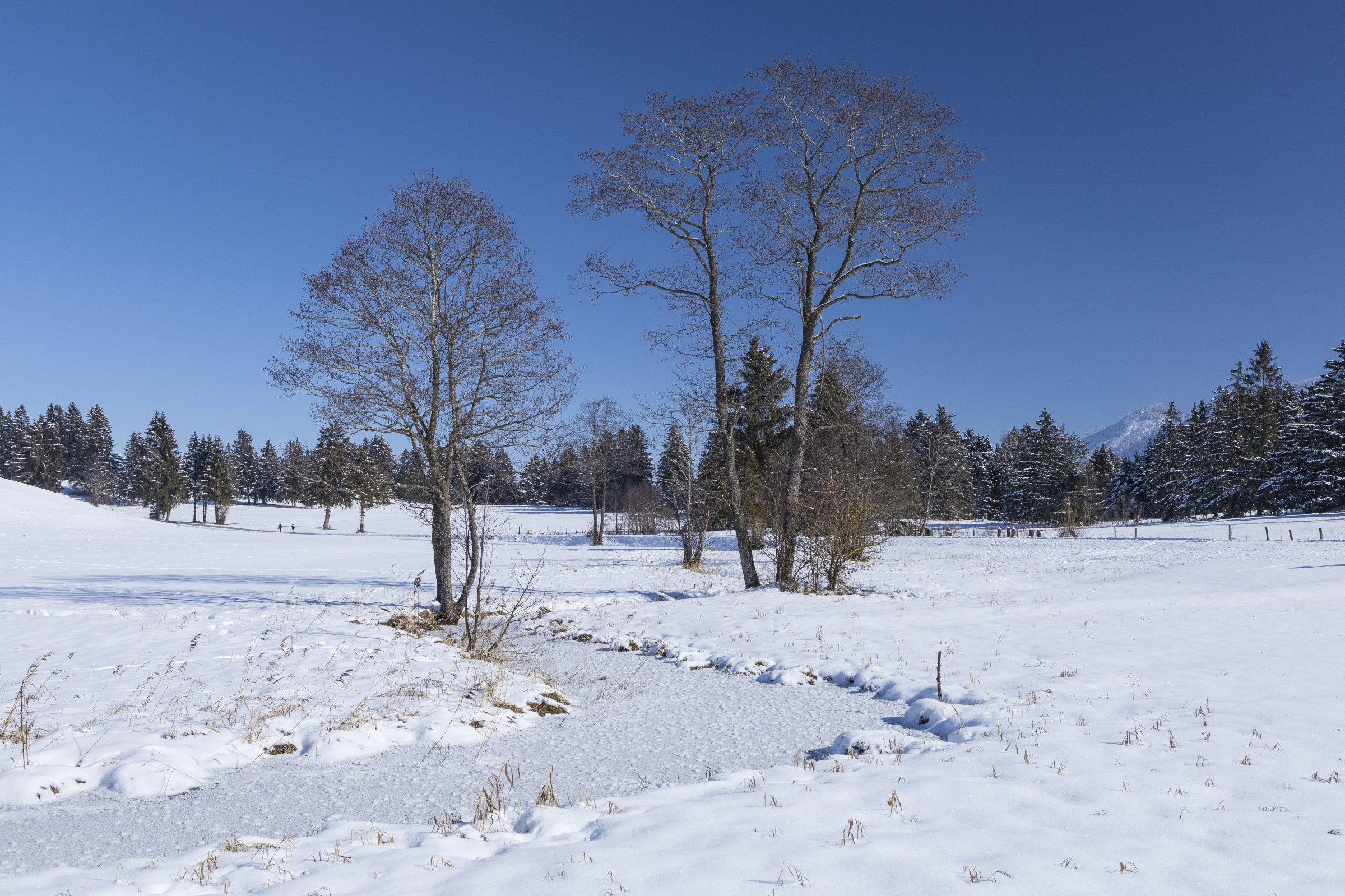 Allgäu 21w