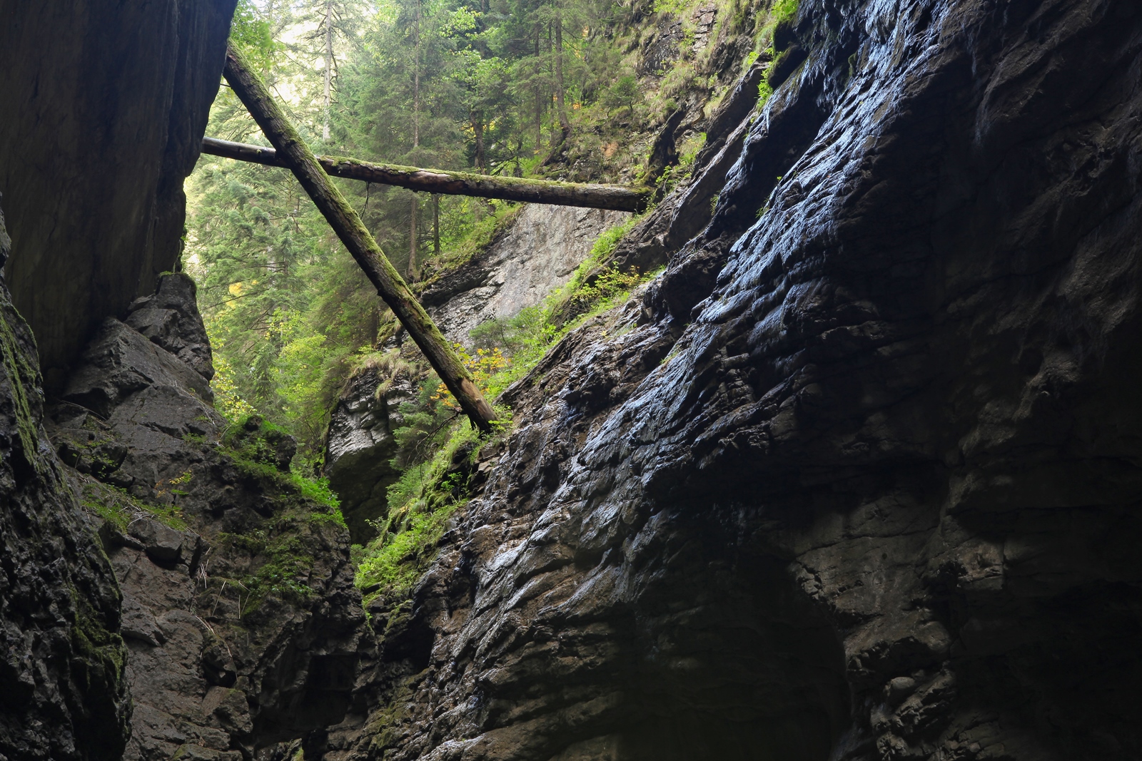 Allgäu 34