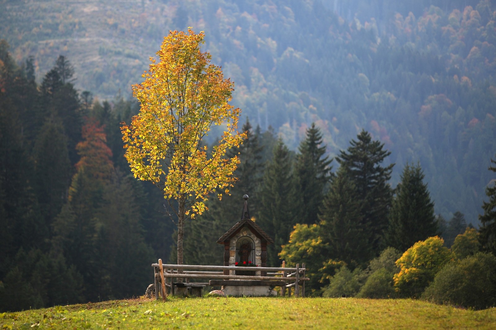 Allgäu 37