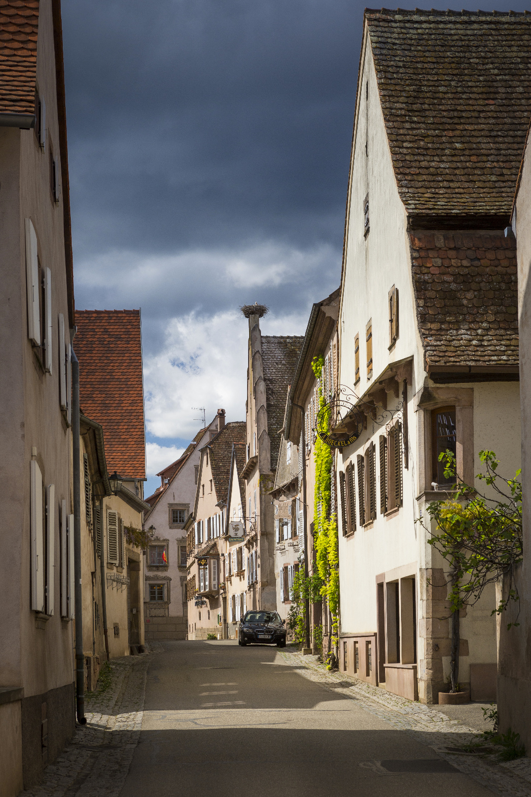Elsass 212