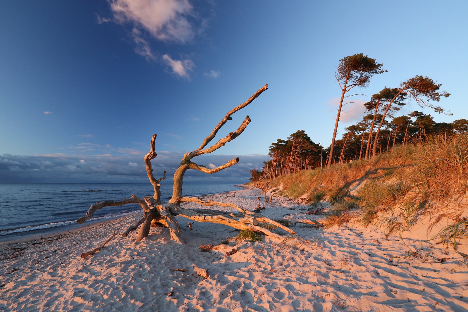 Ostsee 22