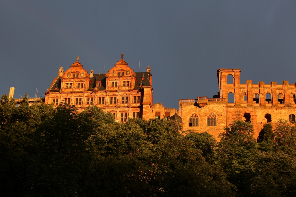 Katharina Bernhard 72