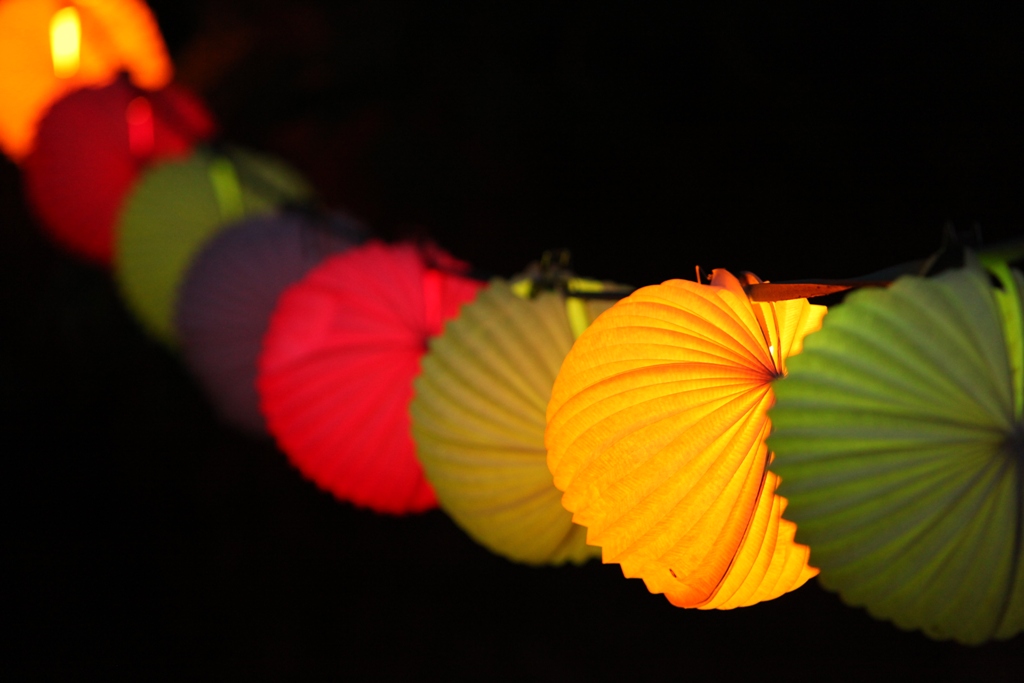 Katharina Bernhard 77