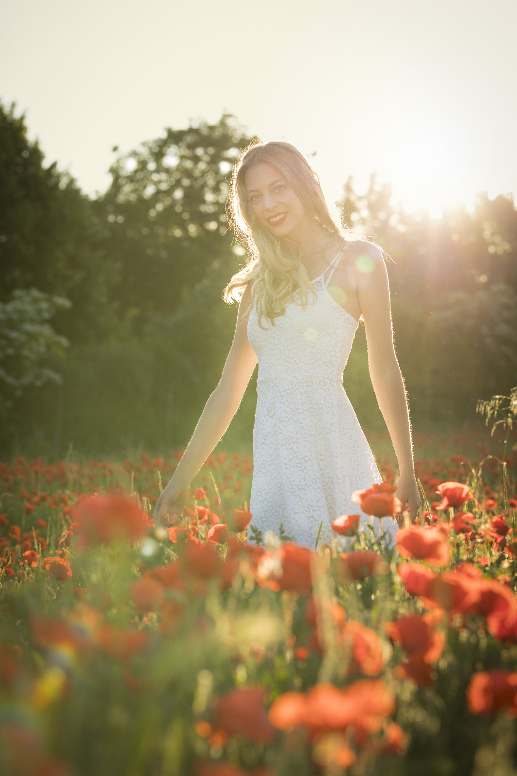 Mohn 11r