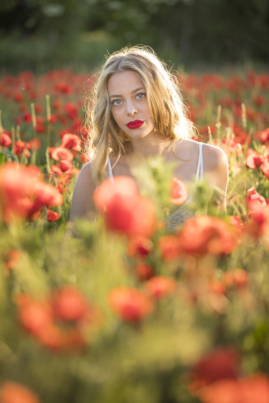 Mohn 14r