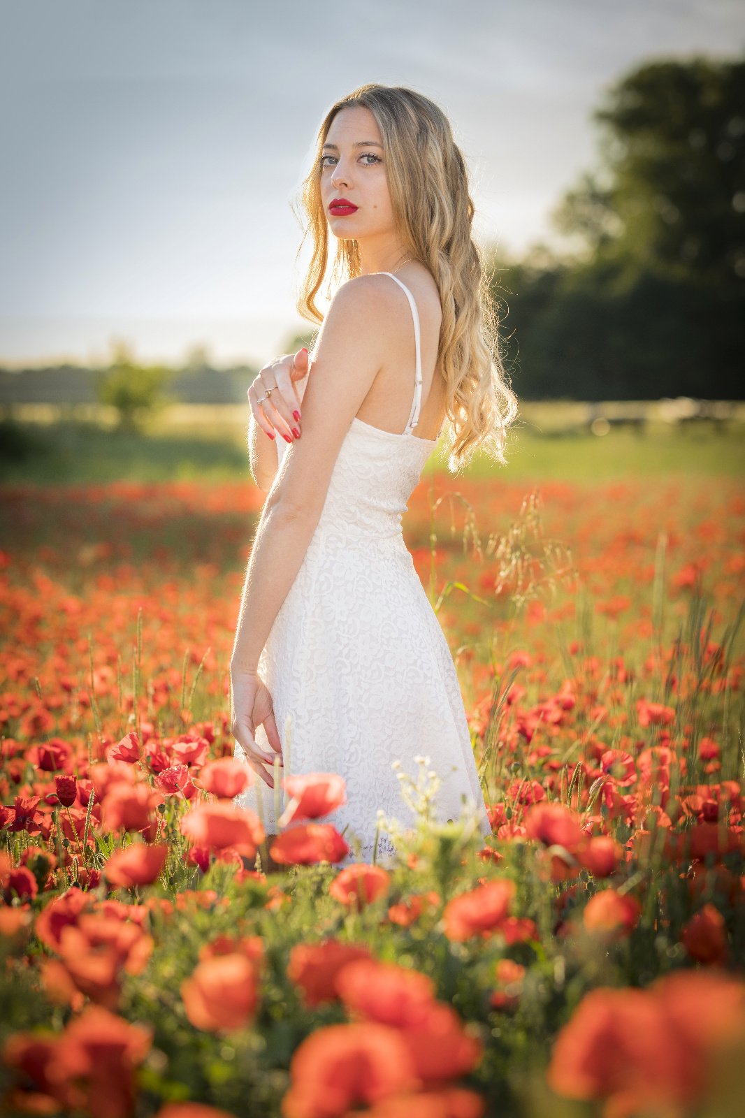Mohn 22r