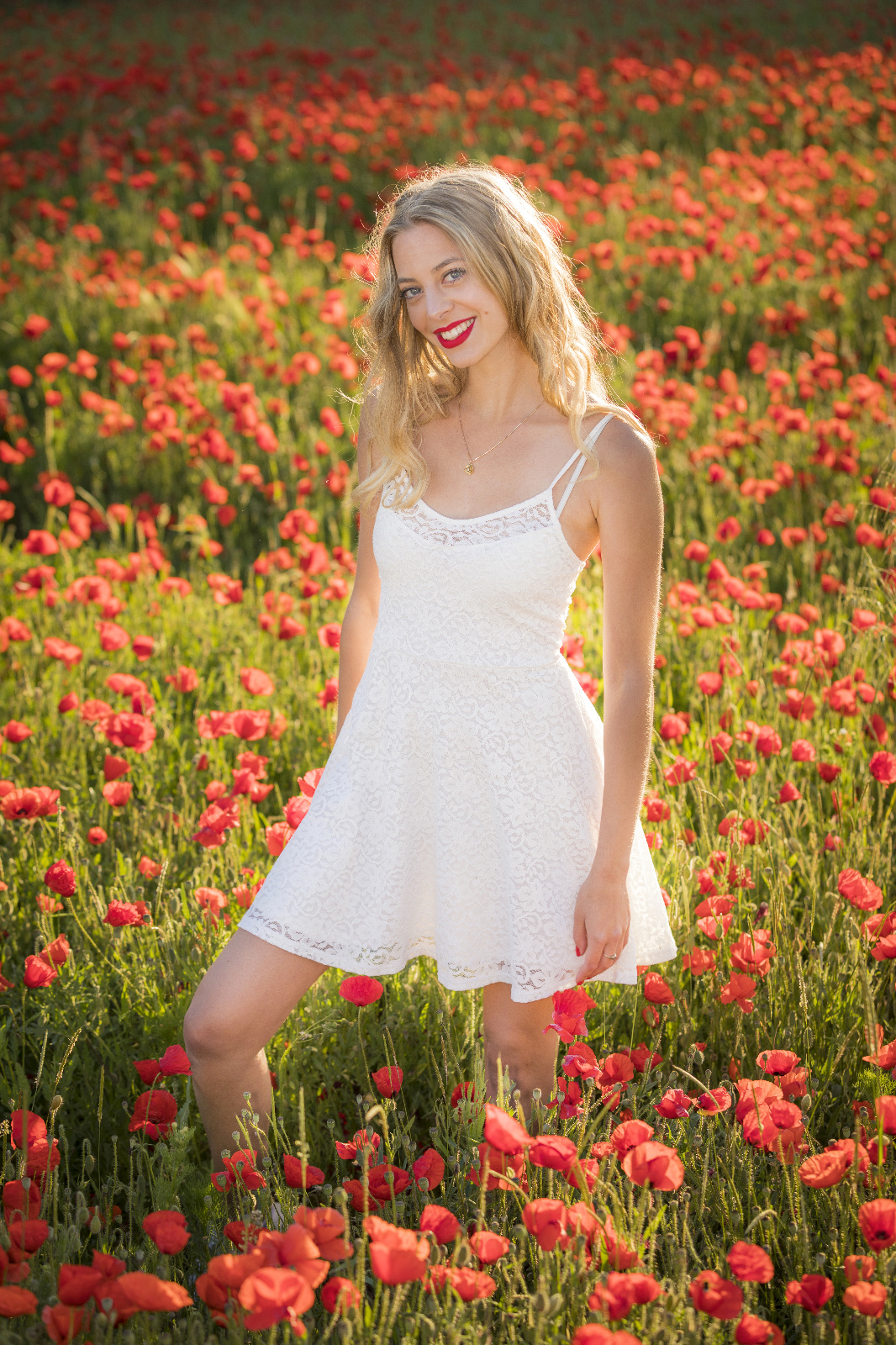 Mohn 25r