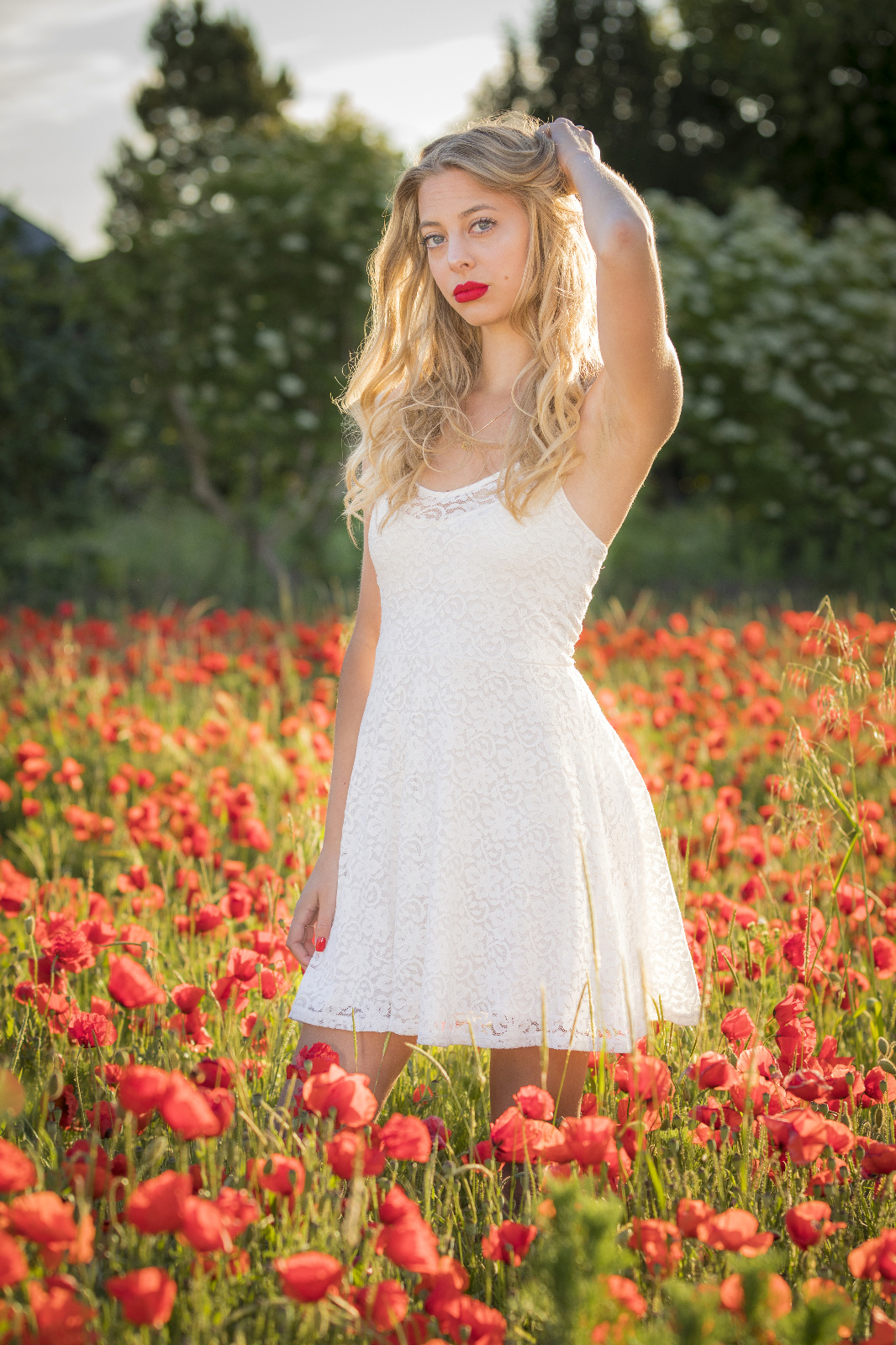 Mohn 29r