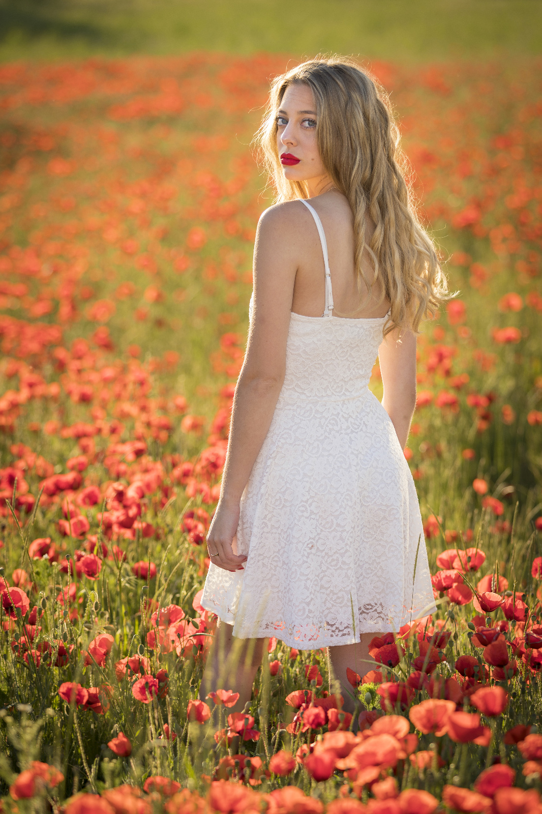 Mohn 44r