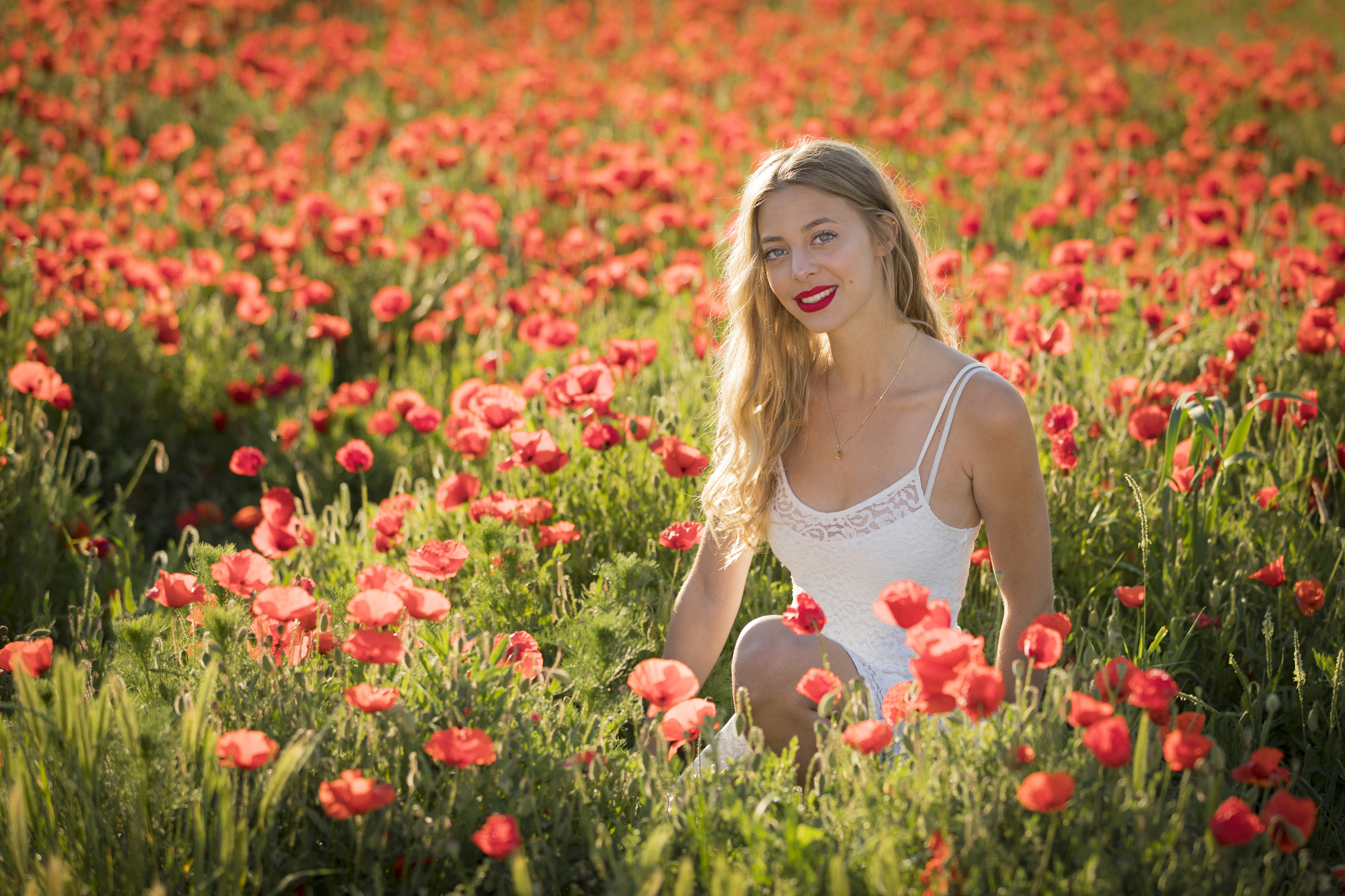 Mohn 52r