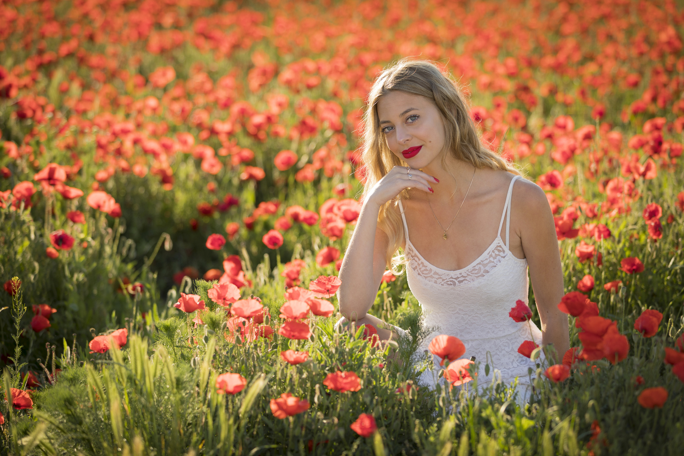 Mohn 54r