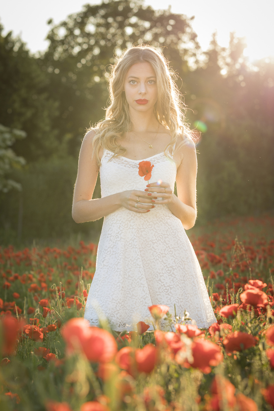 Mohn 7r