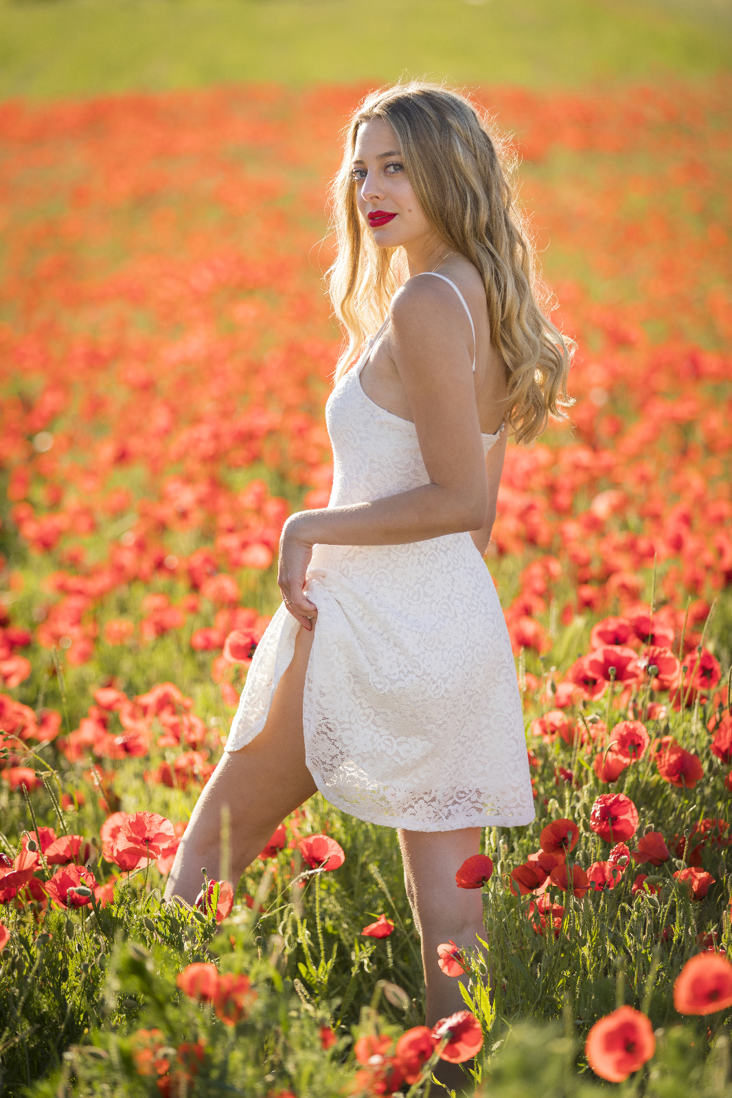 Mohn 85r