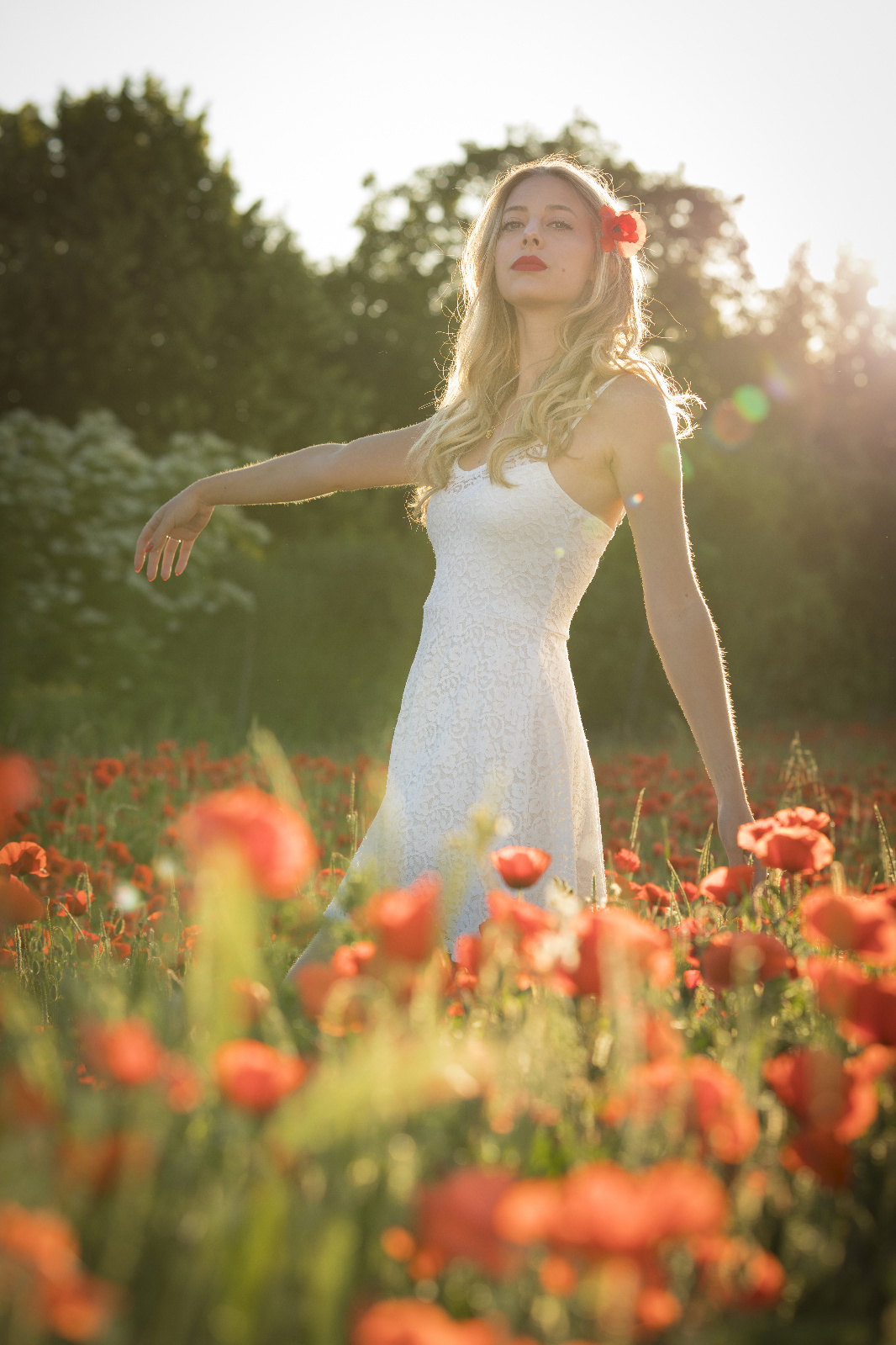 Mohn 9r