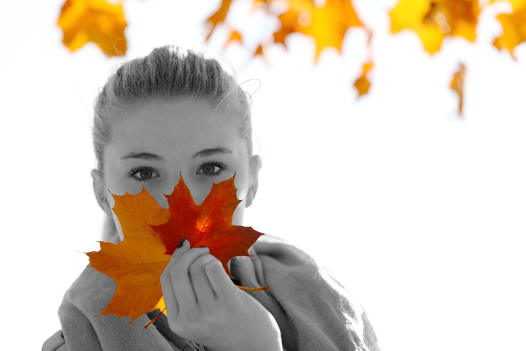 Herbst2 01