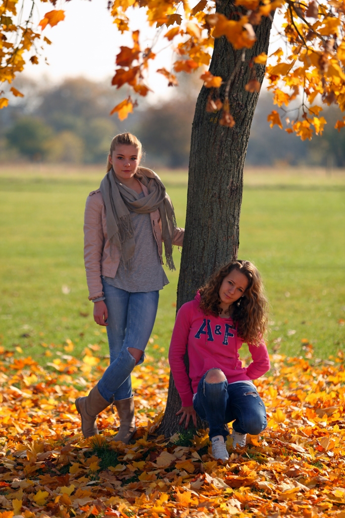Herbst2 11