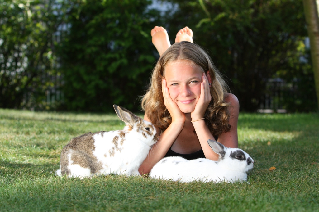 Bunny 03