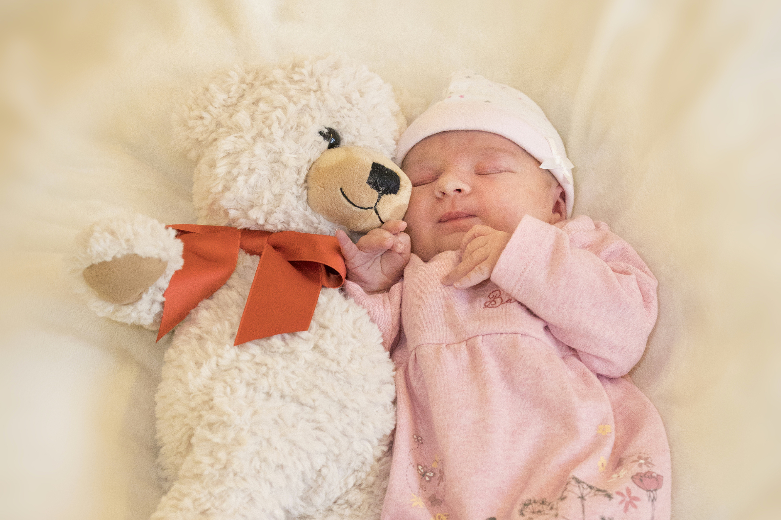 Amalia 28bq