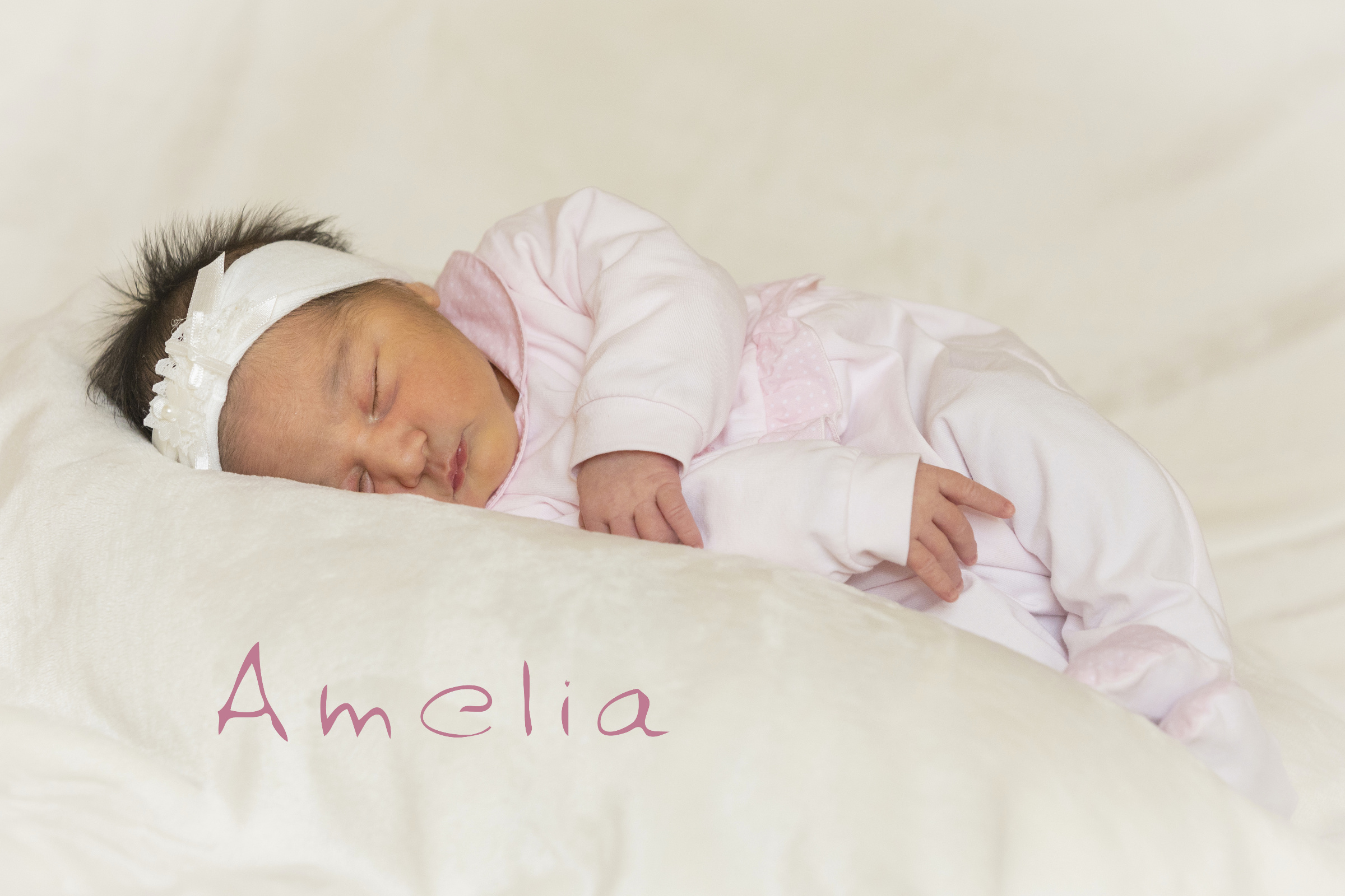 Amelia 17t