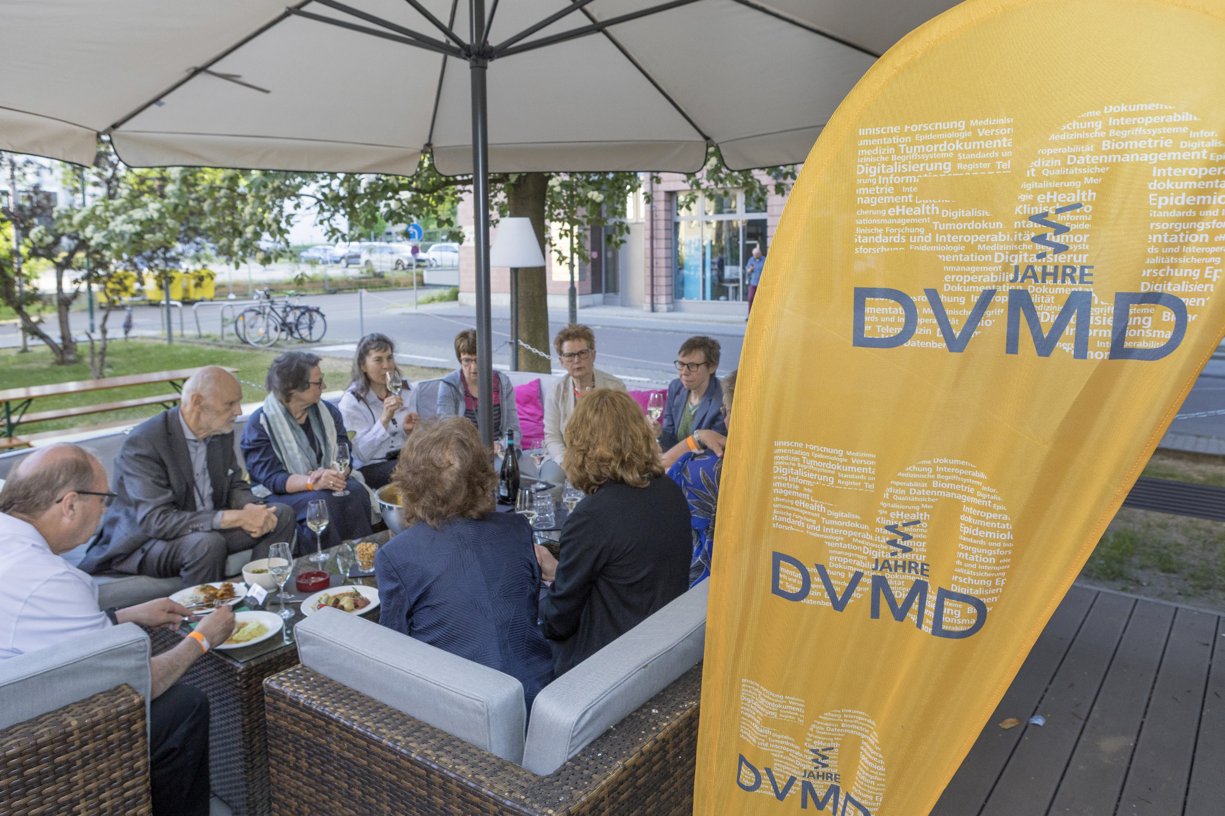 DVMD 50 307